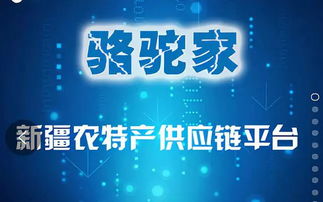 这个被称为 骆驼 的小伙儿,把新疆农特产卖到了全国各地